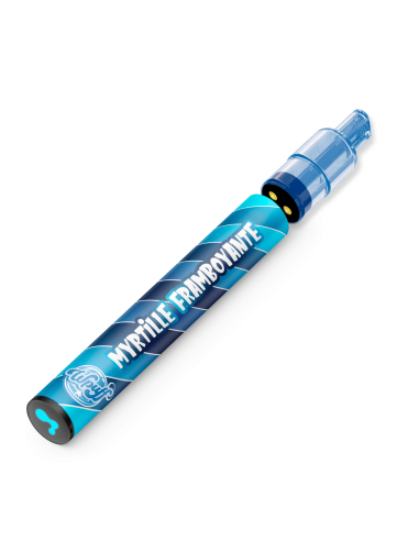 Kit Wpuff 2.0 Myrtille Framboyante - 800 Puffs pour revendeurs